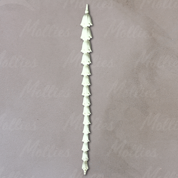 Efex D21 Drop / Mollies New Zealand