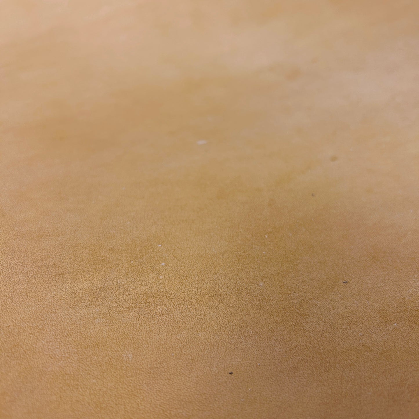 LEATHER Veg Tanned Vacchetta Oiled / Square Shoulder