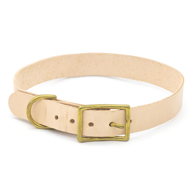 PROJECT KIT Pet Collar Large / Mollies New Zealand