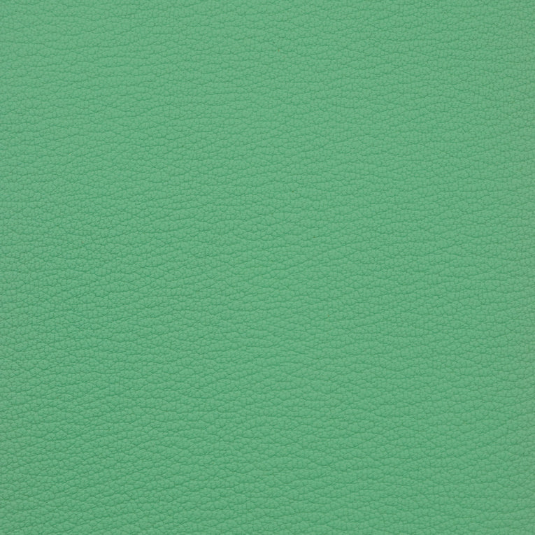 LEATHER Veg Tanned Premium Goat Skin / Hide / Mollies New Zealand