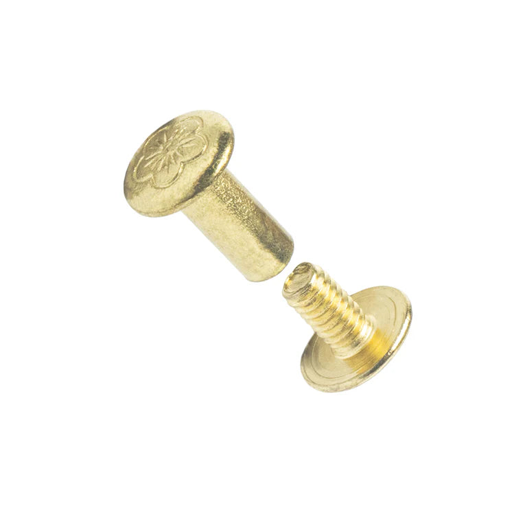 IVAN Decorative Screw Posts Brass Plate 12mm (1 2") 100PK / Mollies New Zealand