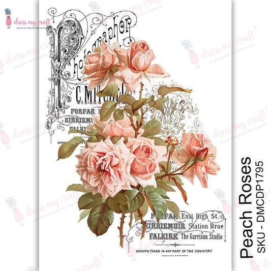 DRESS MY CRAFT Water Transfer Peach Roses | Mollies Make And Create NZ
