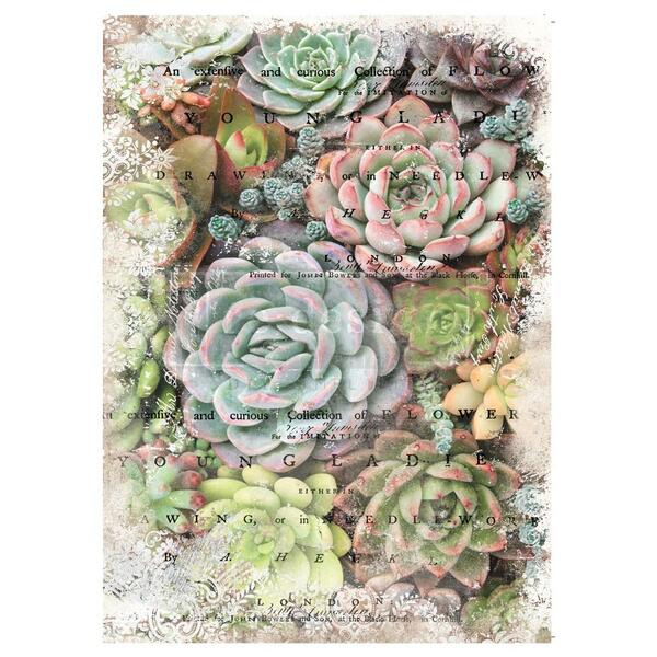 REDESIGN MULBERRY Zuri Tissue 48 x 76cm / Mollies New Zealand