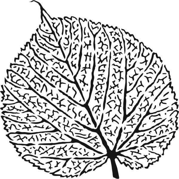 TCW Stencil Skeletal Leaf / Mollies New Zealand