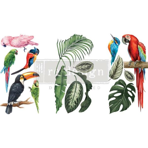 REDESIGN Transfer Tropical Birds / Mollies New Zealand