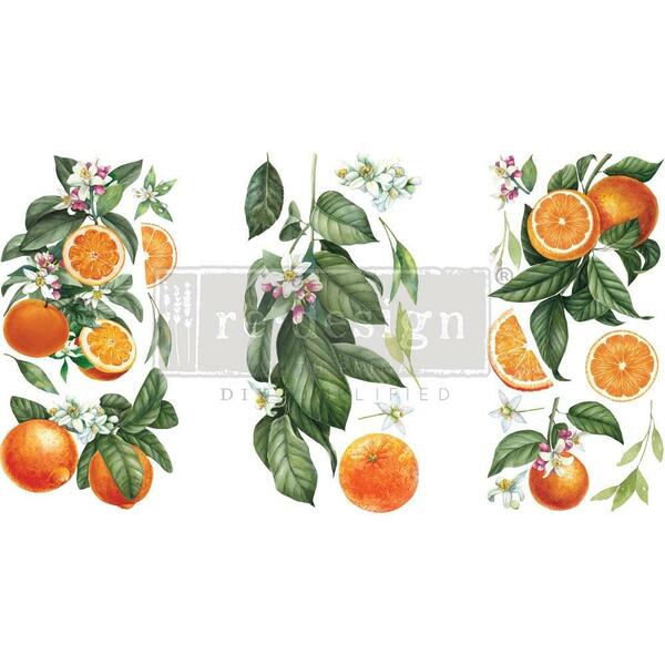 REDESIGN Transfer Citrus Slice / Mollies New Zealand