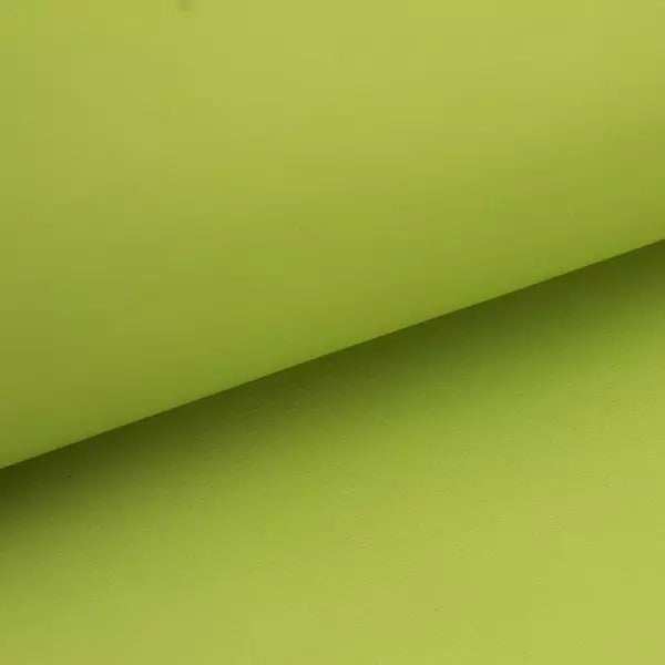 LEATHER Veg Tanned Tirano Italian / Belly Lime 4-5oz / Mollies New Zealand