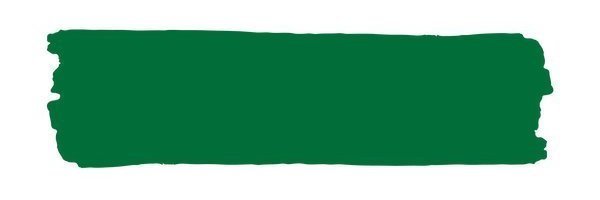 Vintage Paint Amazon (ER) / Mollies New Zealand