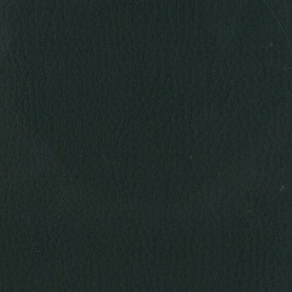 APOLLO 4-way Stretch Commercial Vinyl Black Per Meter / Mollies New Zealand