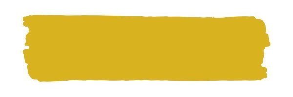 Vintage Paint Canary (ER) / Mollies New Zealand