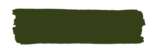 Vintage Paint Dark Moss / Mollies New Zealand