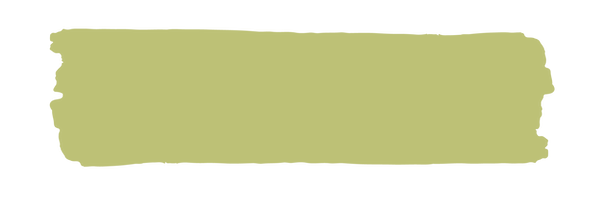 Vintage Paint Guacamole (ER) / Mollies New Zealand