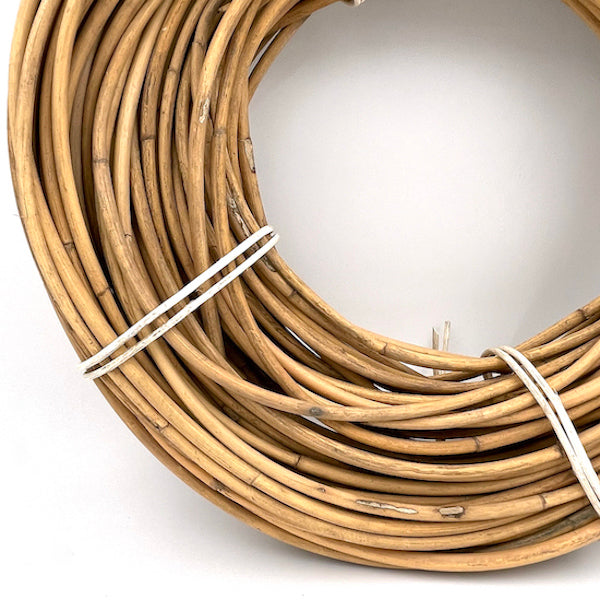 CACING / Mollies New Zealand