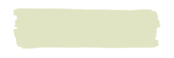 Vintage Paint Make A Wish (ER) / Mollies New Zealand