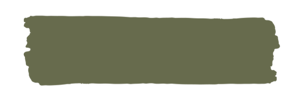 Vintage Paint Seaweed / Mollies New Zealand