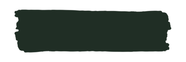 Vintage Paint Shenanigan (ER) / Mollies New Zealand