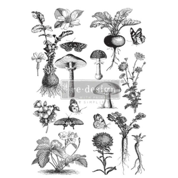 REDESIGN Transfer Fungi Forest / Mollies New Zealand