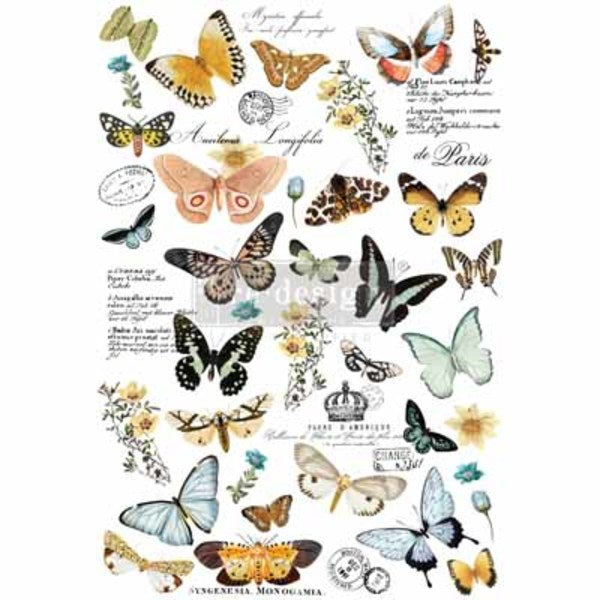 REDESIGN Transfer Butterfly Dance / Mollies New Zealand