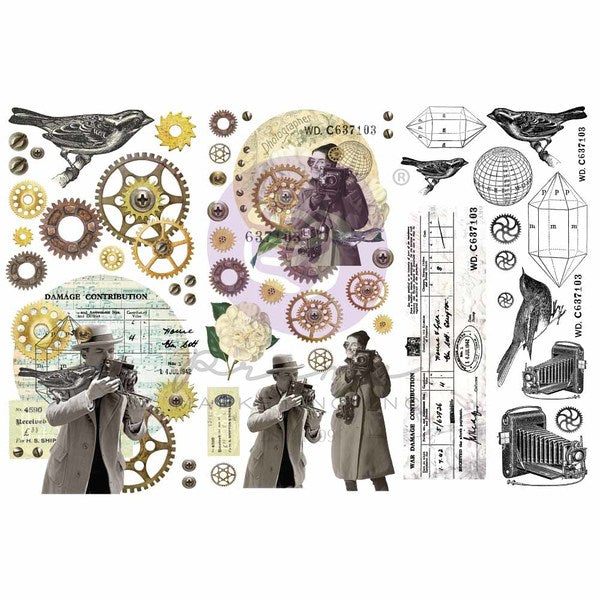 REDESIGN Transfer Papillon Collection / Mollies New Zealand