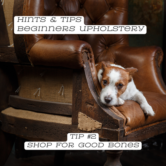 Dog sitting on an old leather chair