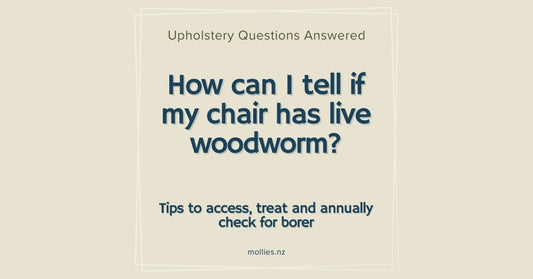 Does my chair have live woodworm borer?