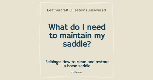 What do I need to maintain my saddle?