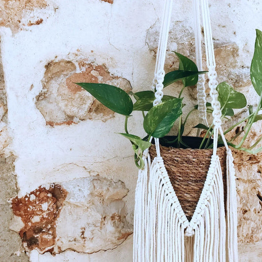 Macrame plant hanger