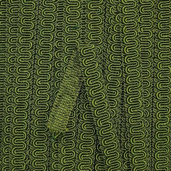 GIMP BRAID Scroll 15mm Pickle Per meter / Mollies New Zealand