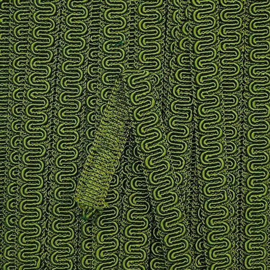 GIMP BRAID Scroll 15mm Pickle Per meter / Mollies New Zealand