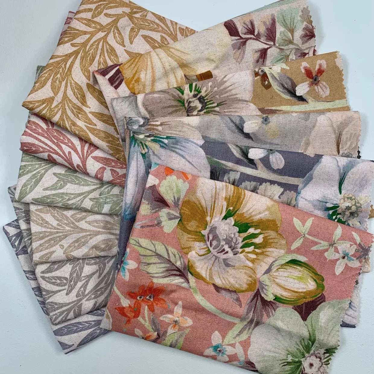 Warwick Fabric Clementine (Indent) / Mollies New Zealand