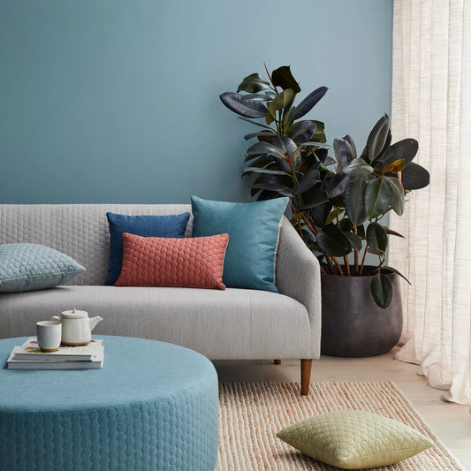 Warwick Fabric Clique / Mollies New Zealand