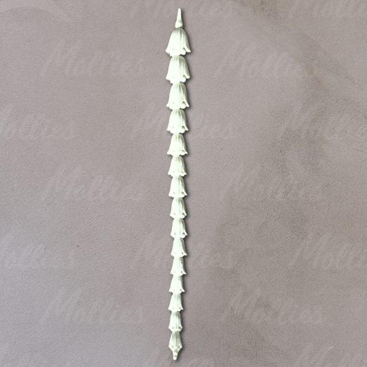 Efex D21 Drop / Mollies New Zealand