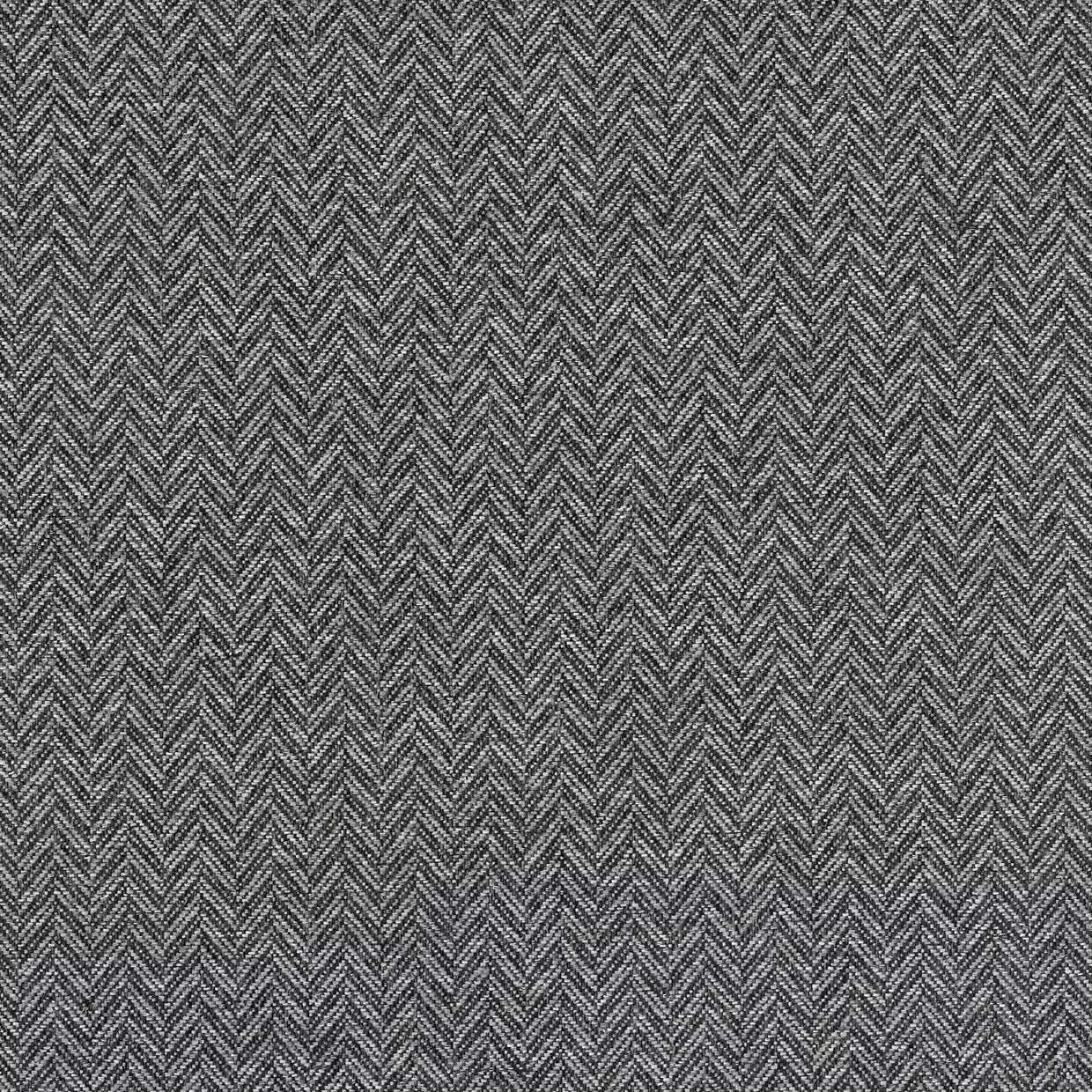 Warwick Fabric Coney (Ind) / Mollies New Zealand