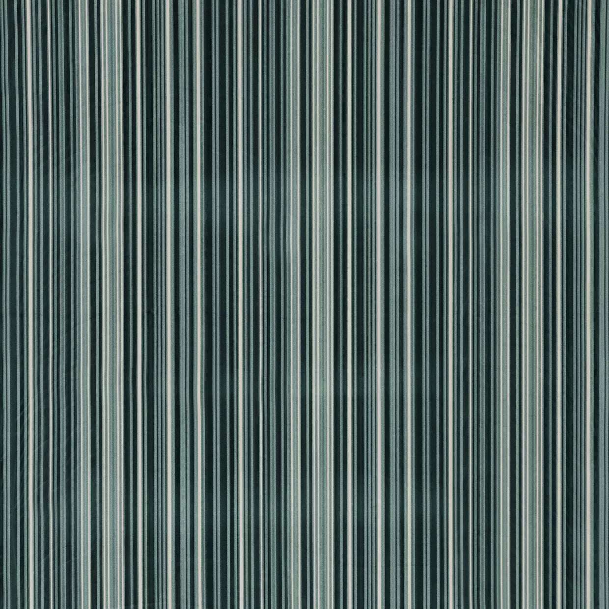 Warwick Fabric Eduardo / Mollies New Zealand