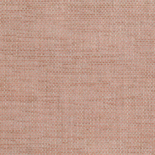 Warwick Fabric Kira (Tritan) / Mollies New Zealand