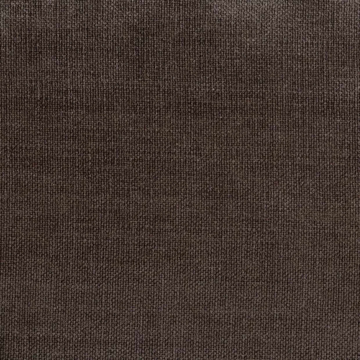 Warwick Fabric Pavlos / Mollies New Zealand