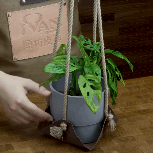 IVAN PATTERN Plant Hammock / Mollies New Zealand