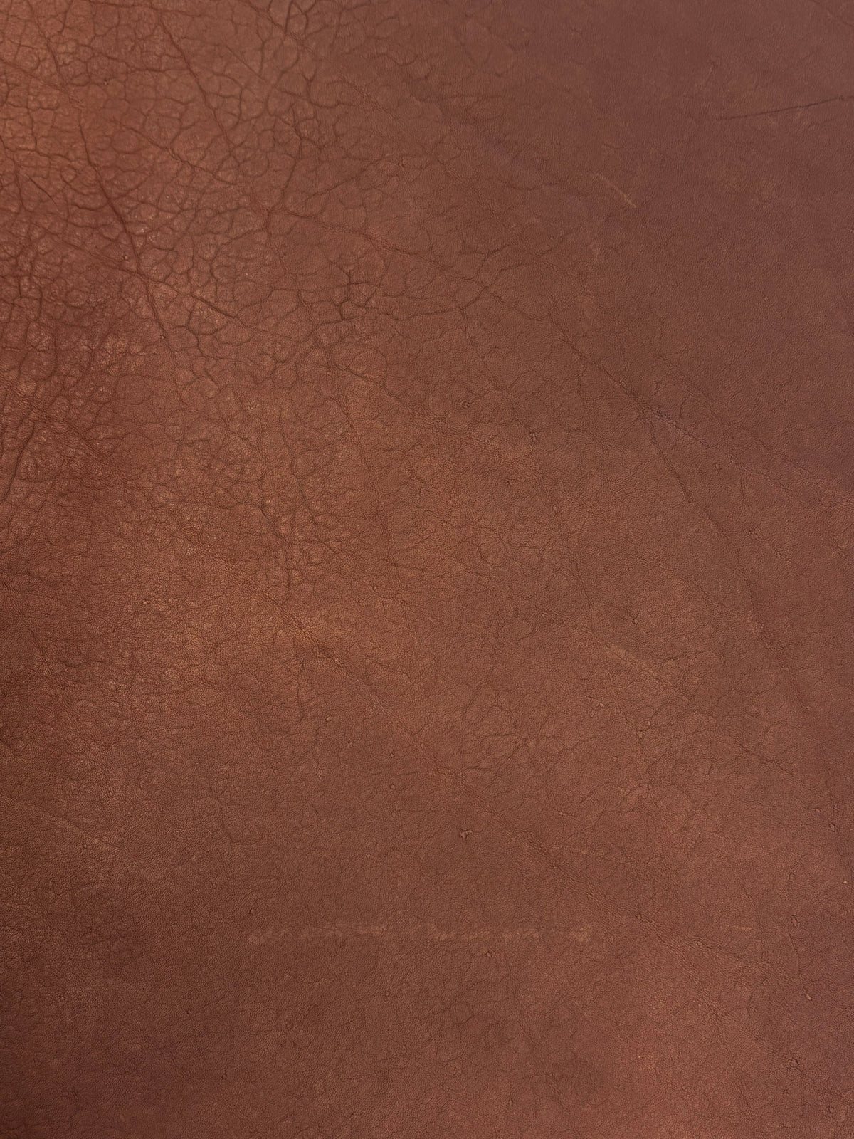 LEATHER / Shrunken Chrome Tan Cut Panel