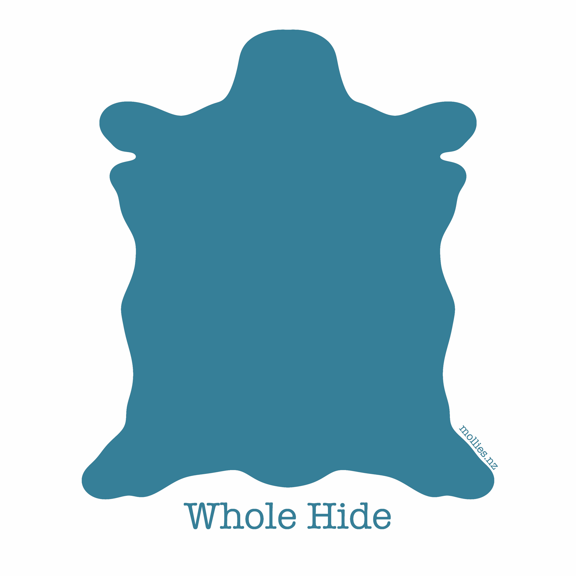 LEATHER Upholstery Apex / Whole Hide / Mollies New Zealand