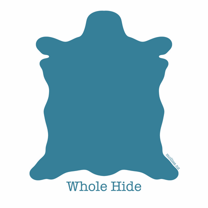 LEATHER Upholstery Apex / Whole Hide / Mollies New Zealand