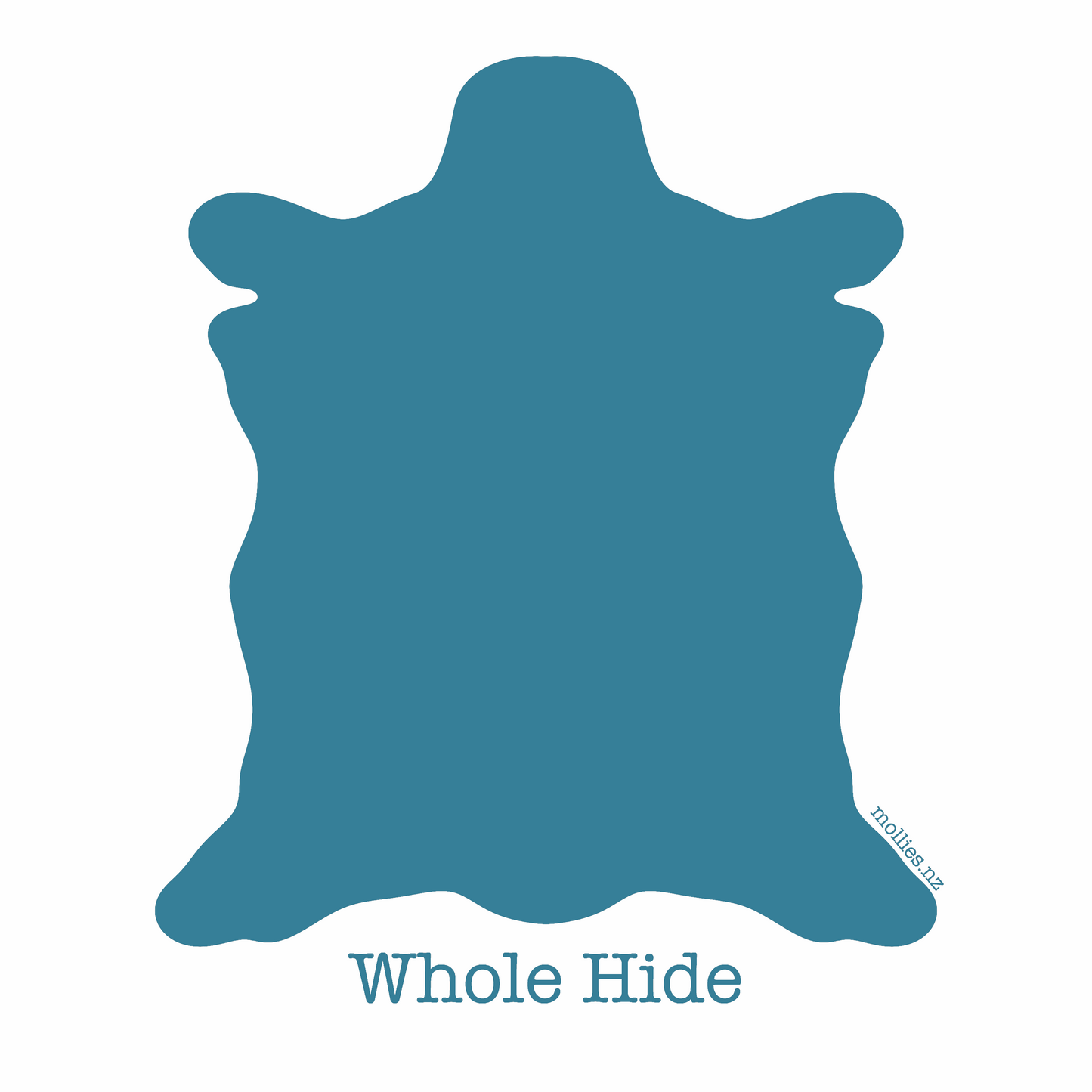 LEATHER Upholstery Seraphic / Whole Hide / Mollies New Zealand