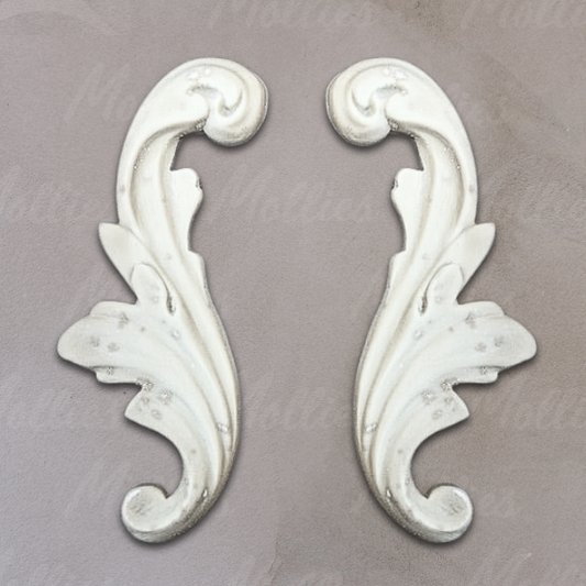 Efex SC50 Scroll / Mollies New Zealand