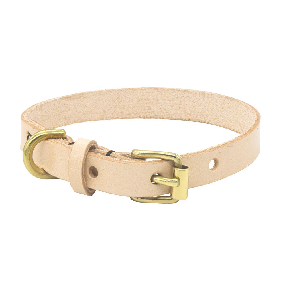 PROJECT KIT Pet Collar Small / Mollies New Zealand