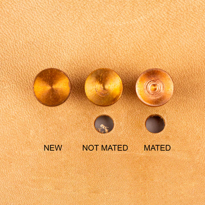 CRAFTPLUS Rotary Punch / Mollies New Zealand