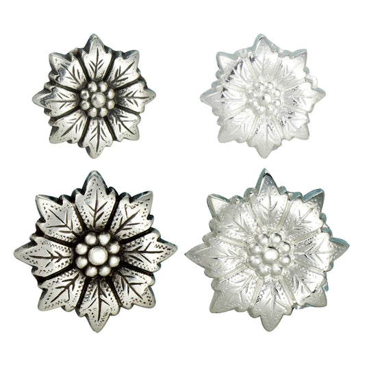 IVAN Cosmos Conchos / Mollies New Zealand