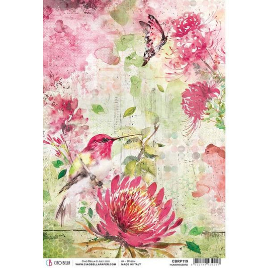 CIAO BELLA Rice Paper Hummingbird A4 / Mollies New Zealand