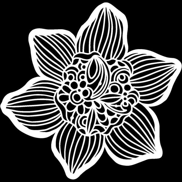 TCW Stencil Cupped Daffodill | Mollies Make And Create NZ
