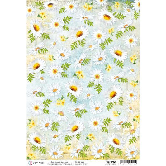 CIAO BELLA Rice Paper White Daisies Microcosmos A4 / Mollies New Zealand