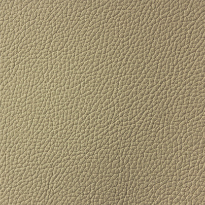 LEATHER Italian San Diego / Whole Hide Bone Per Average Hide / Mollies New Zealand