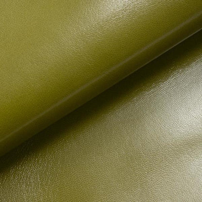LEATHER Chrome Tanned Glazed Goatskin / Whole Hide Green 2-3oz / Mollies New Zealand
